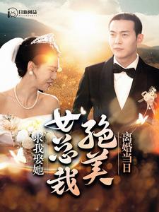 離婚當(dāng)日，絕美女總裁求我娶她(全集)