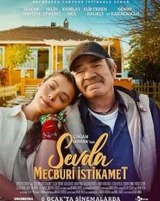 愛(ài)的強(qiáng)制方向