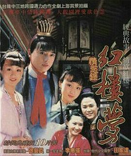 紅樓夢(mèng)情欲錄(全集)