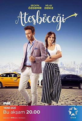 螢火蟲2017(全集)