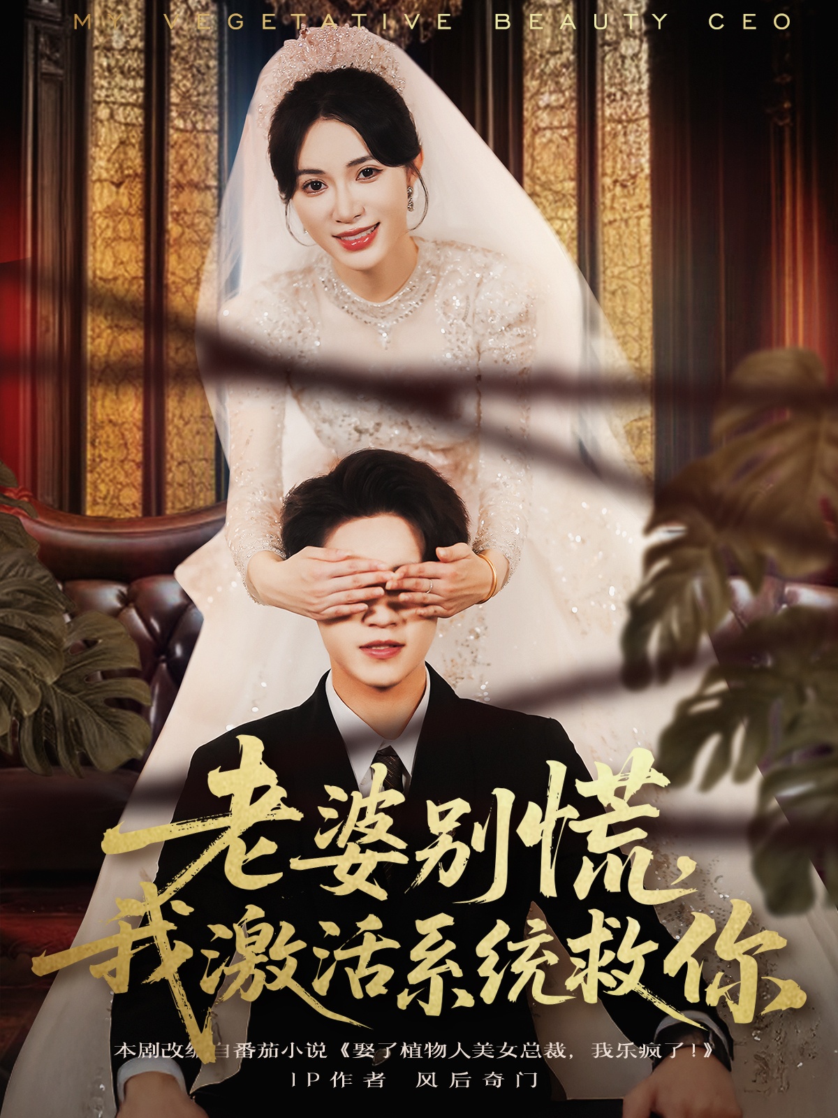 老婆別慌，我激活系統(tǒng)救你(全集)