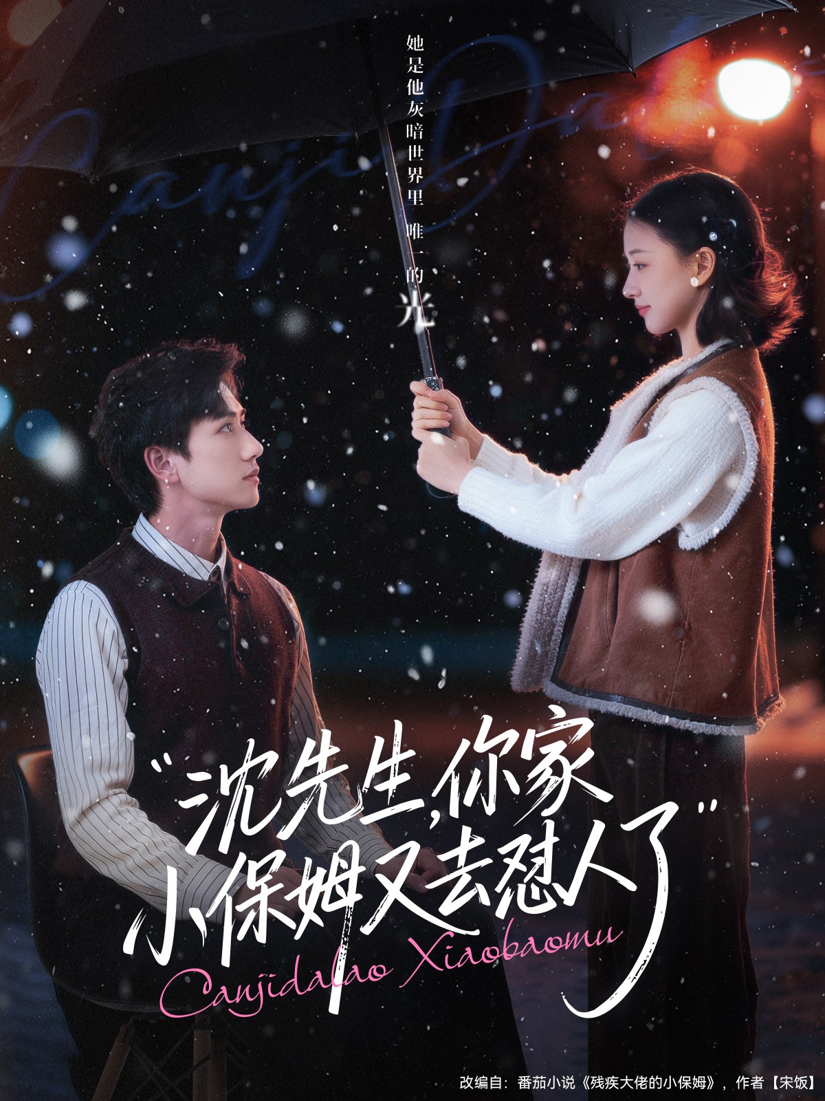 沈先生，你家小保姆又去懟人了(全集)