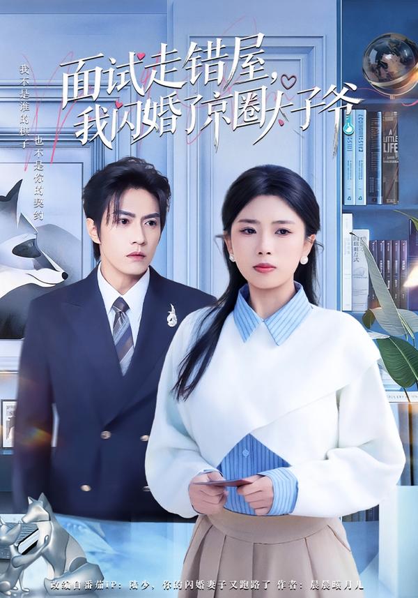 面試走錯(cuò)屋，我閃婚了京圈太子爺(全集)