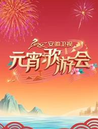 2026安徽衛(wèi)視元宵歌游會(huì)