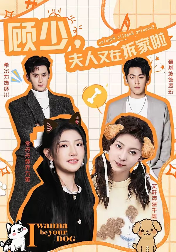 顧少，夫人又在拆家啦(全集)