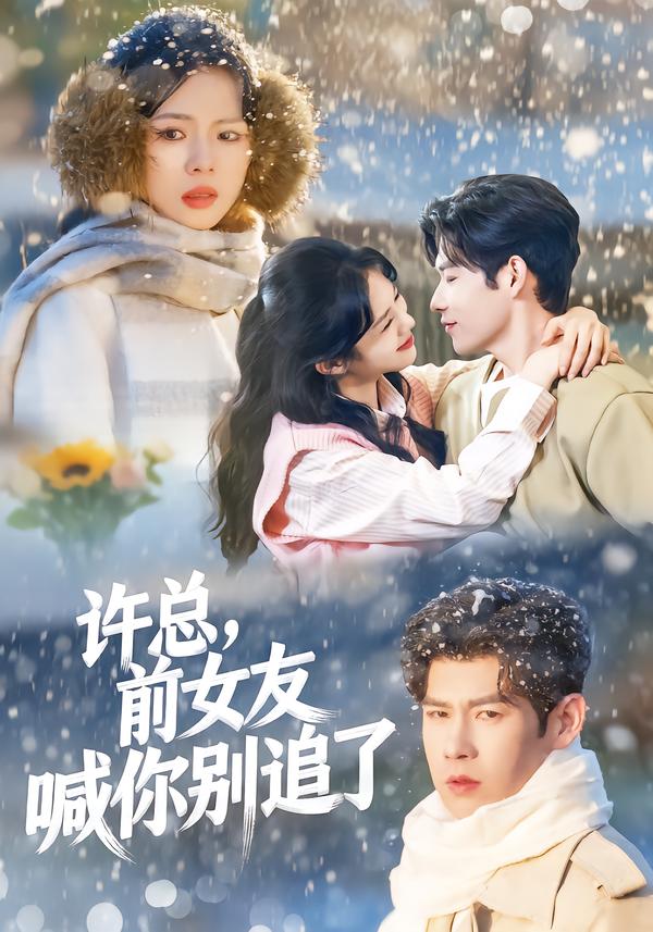許總，前女友喊你別追了(全集)